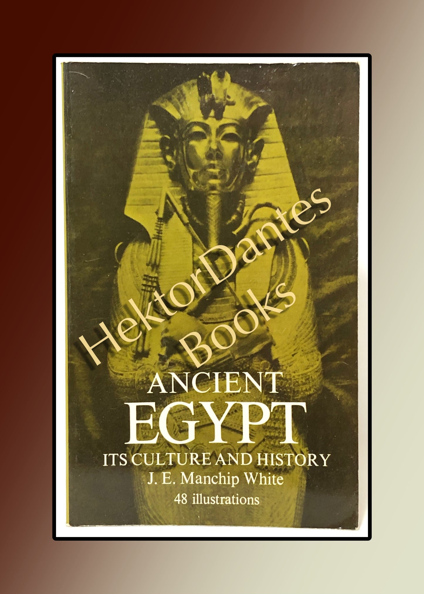 Ancient Egypt: Its Culture and History (1970)