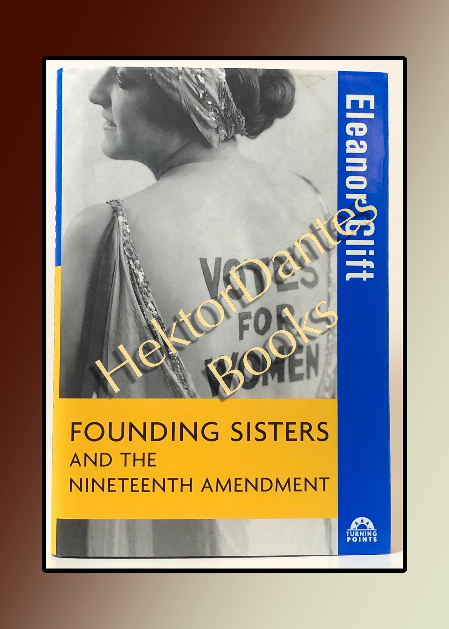 Founding Sisters and the Nineteenth Amendment (2003)