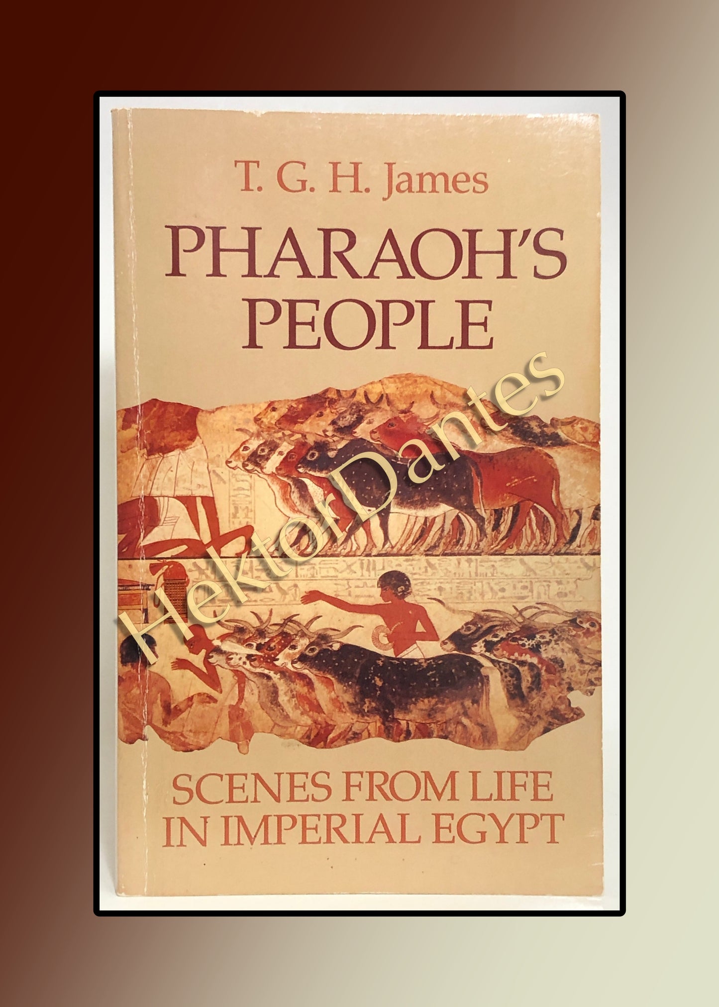 Pharaoh's People: Scenes from Life in Imperial Egypt (1984)