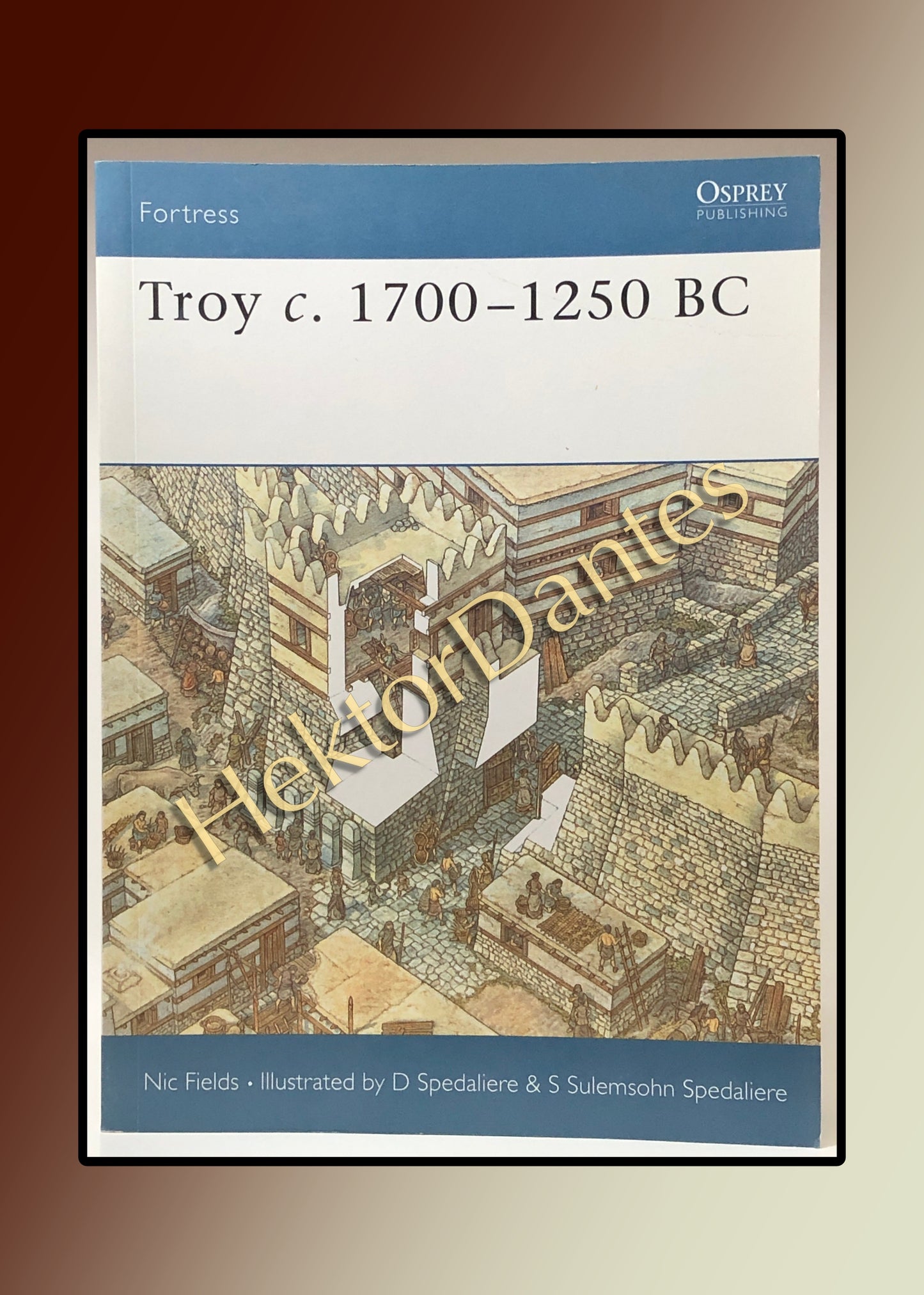 Troy c. 1700-1250 BC (2004)