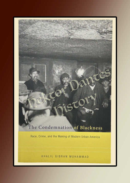The Condemnation of Blackness: Race, Crime, and the Making of Modern Urban America (2011)
