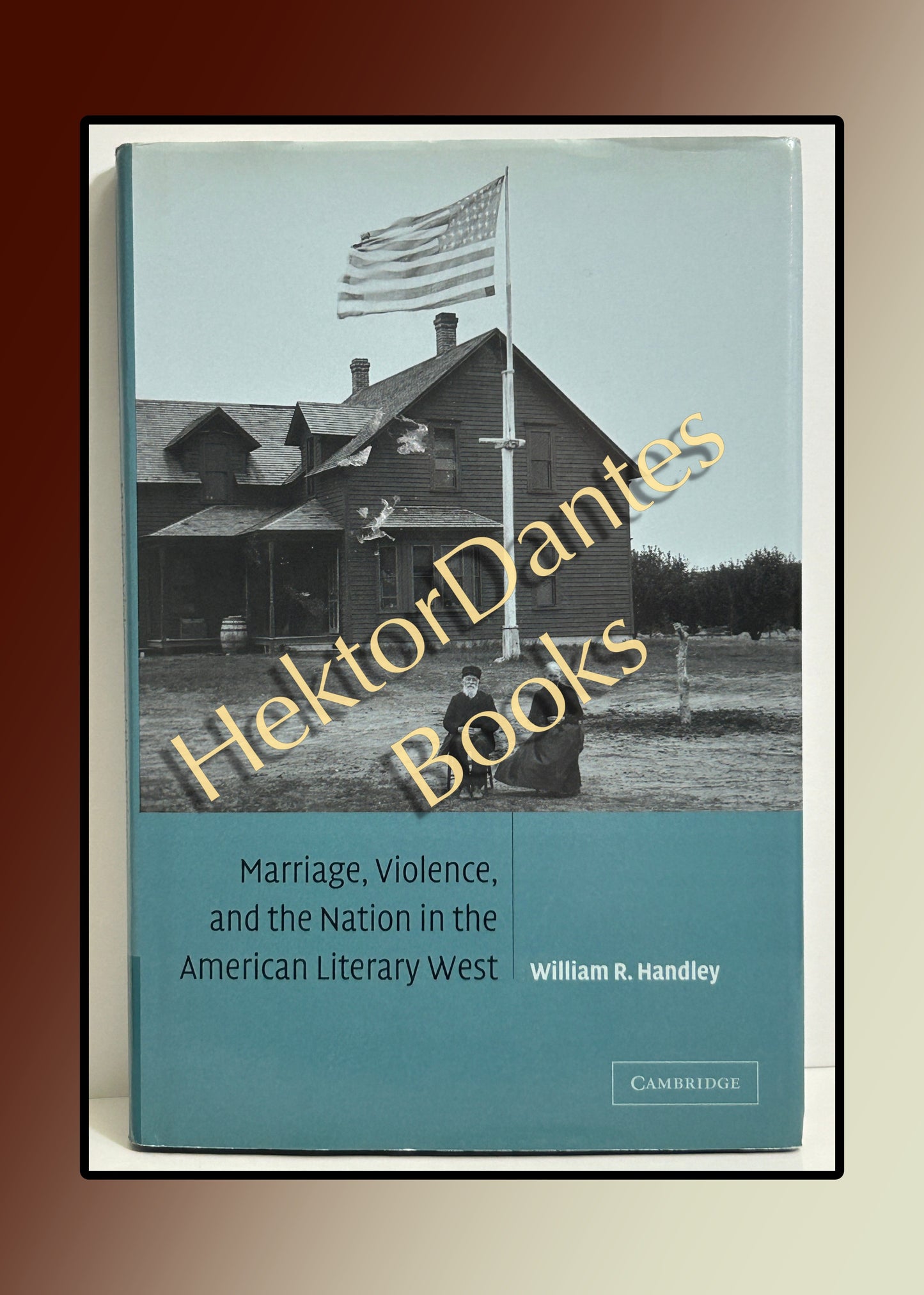 Marriage, Violence, and the Nation in the American Literary West (2002)