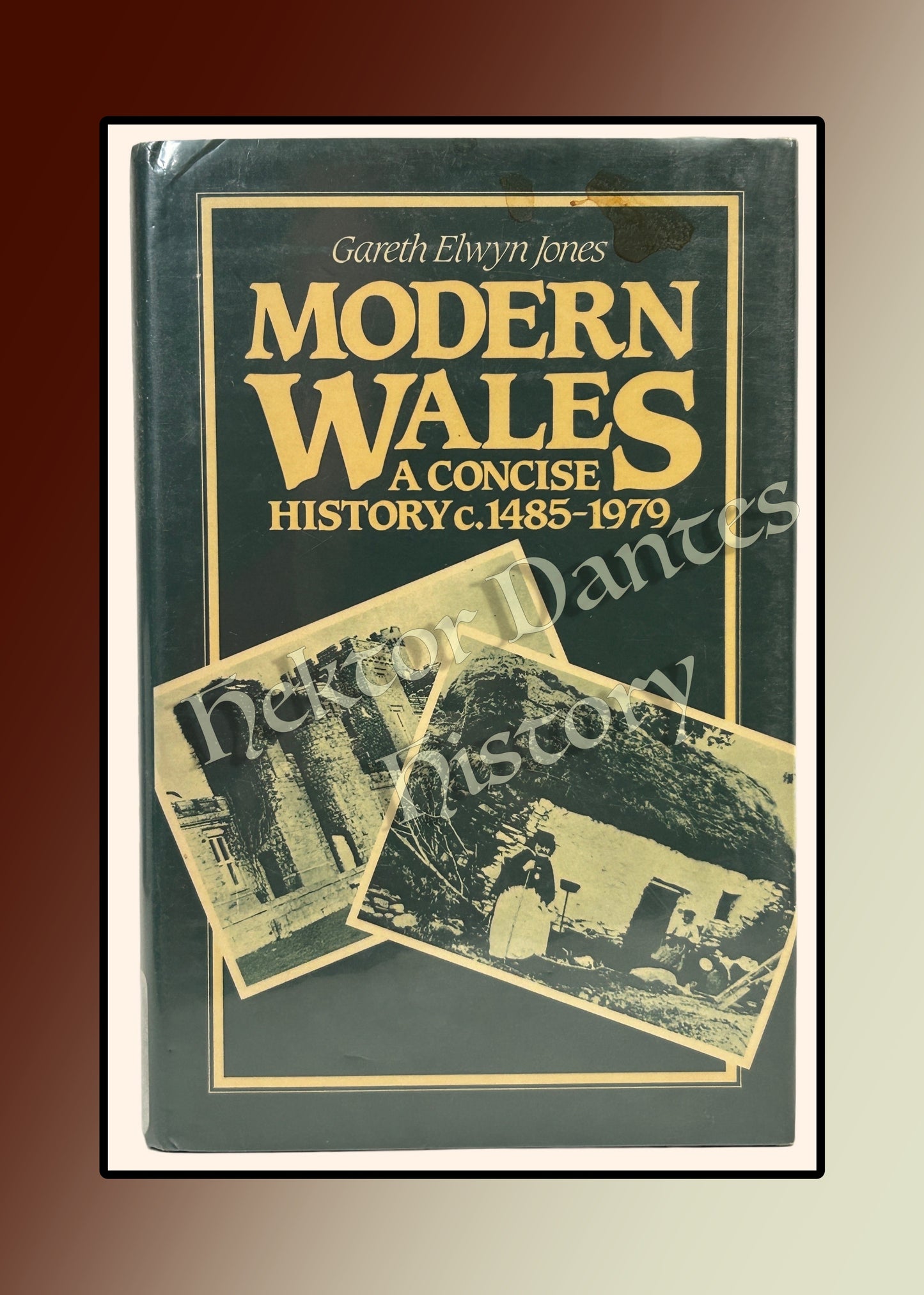 Modern Wales: A Concise History c.1485-1979 (1984)