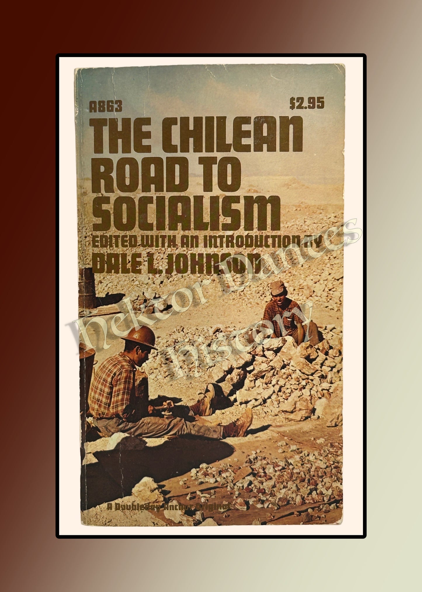 The Chilean Road to Socialism (1973)