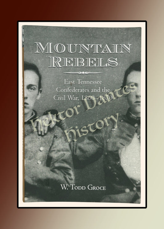 Mountain Rebels: East Tennessee Confederates and the Civil War, 1860-1870 (2008)