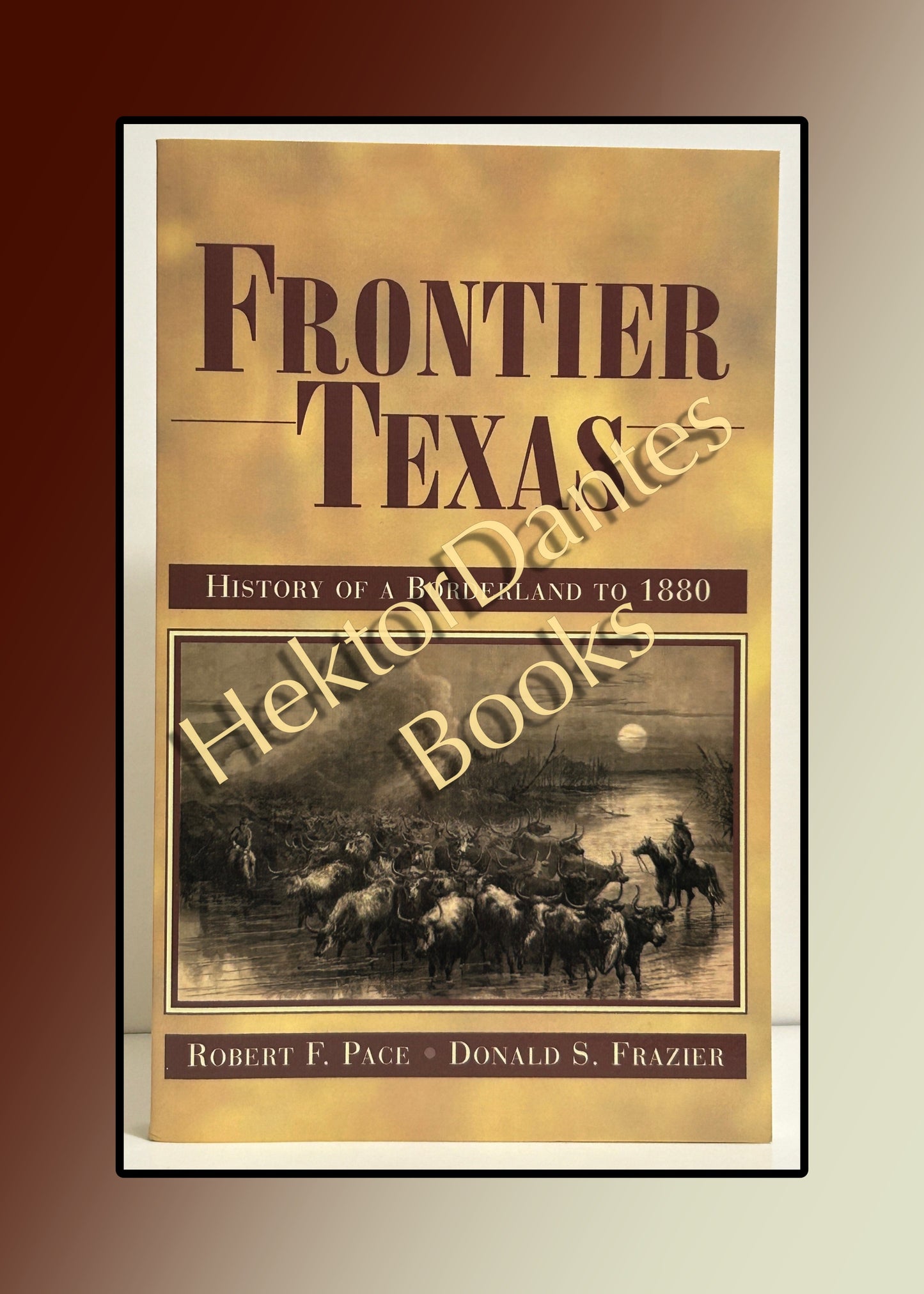 Frontier Texas: History of a Borderland to 1880 (2012)