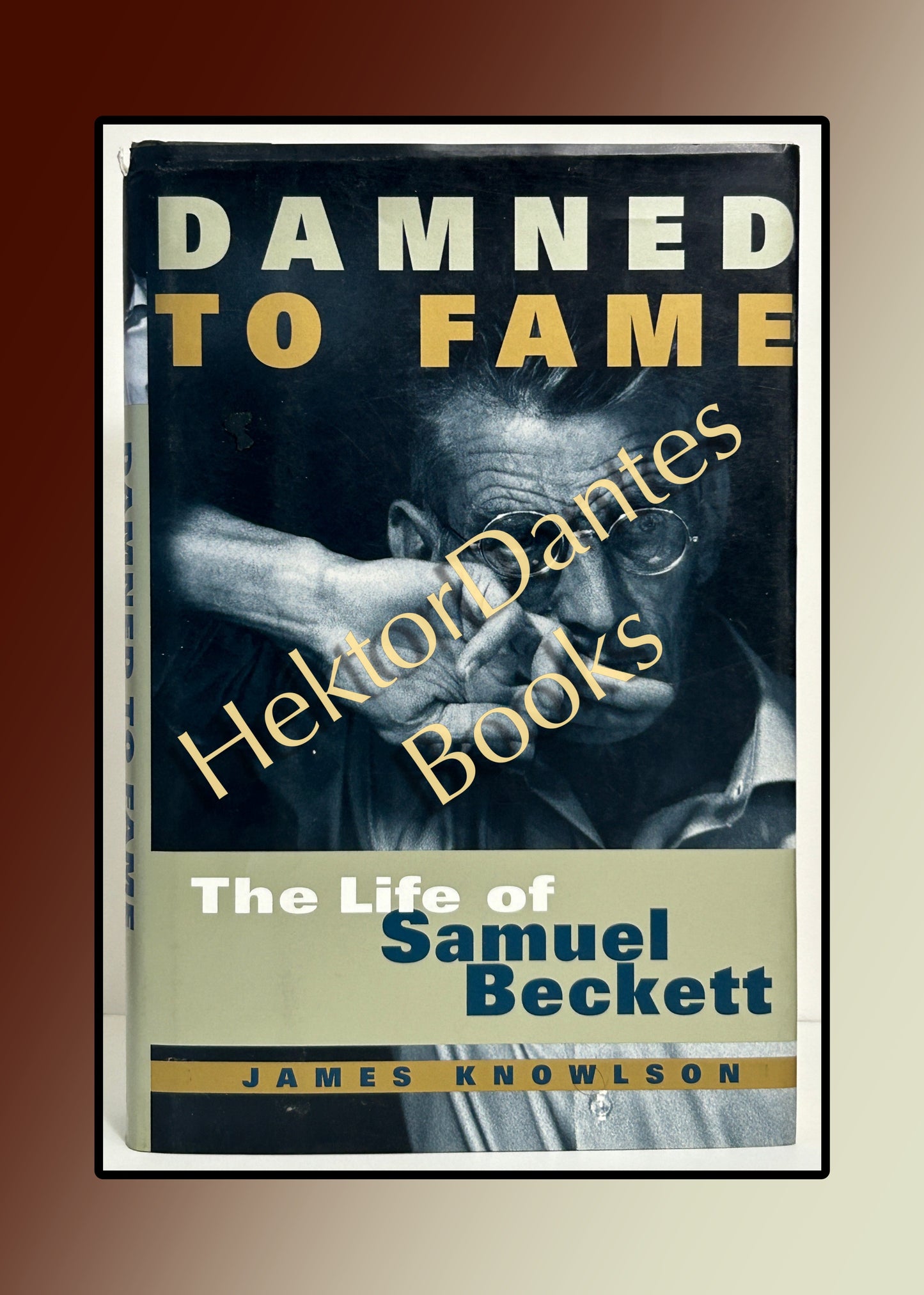 Damned to Fame: The Life of Samuel Beckett (1996)