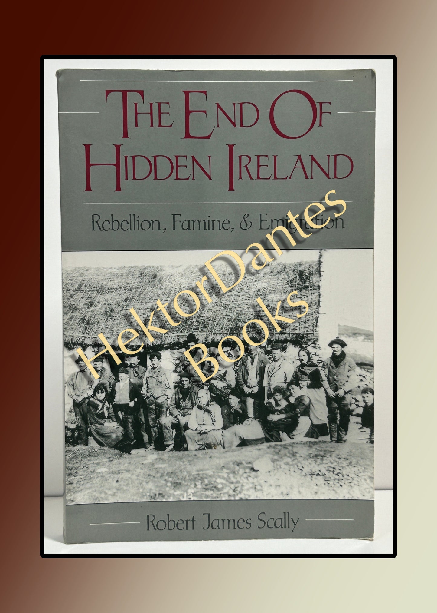 The End of Hidden Ireland: Rebellion, Famine, & Emigration (1995)