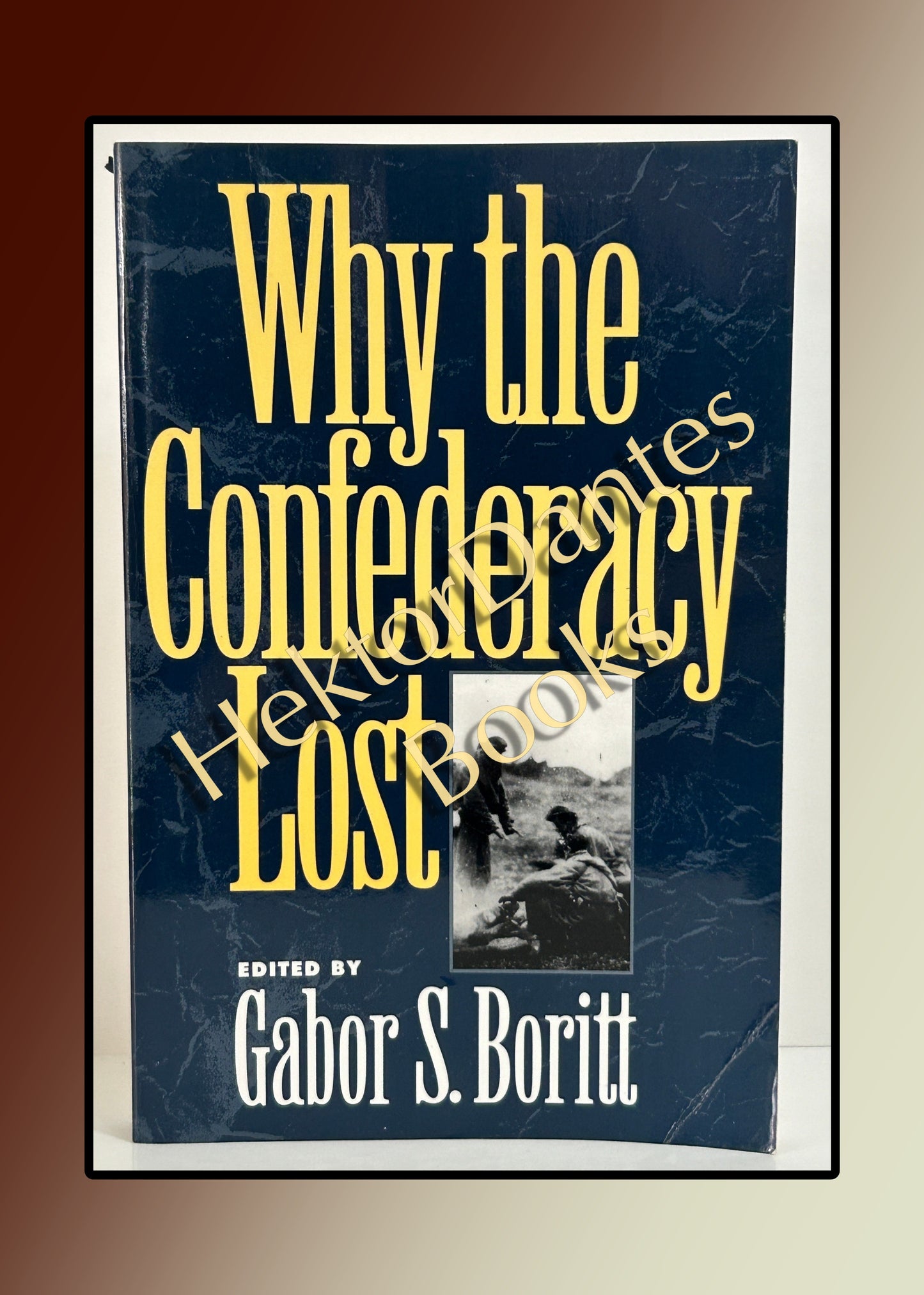 Why the Confederacy Lost (1993)