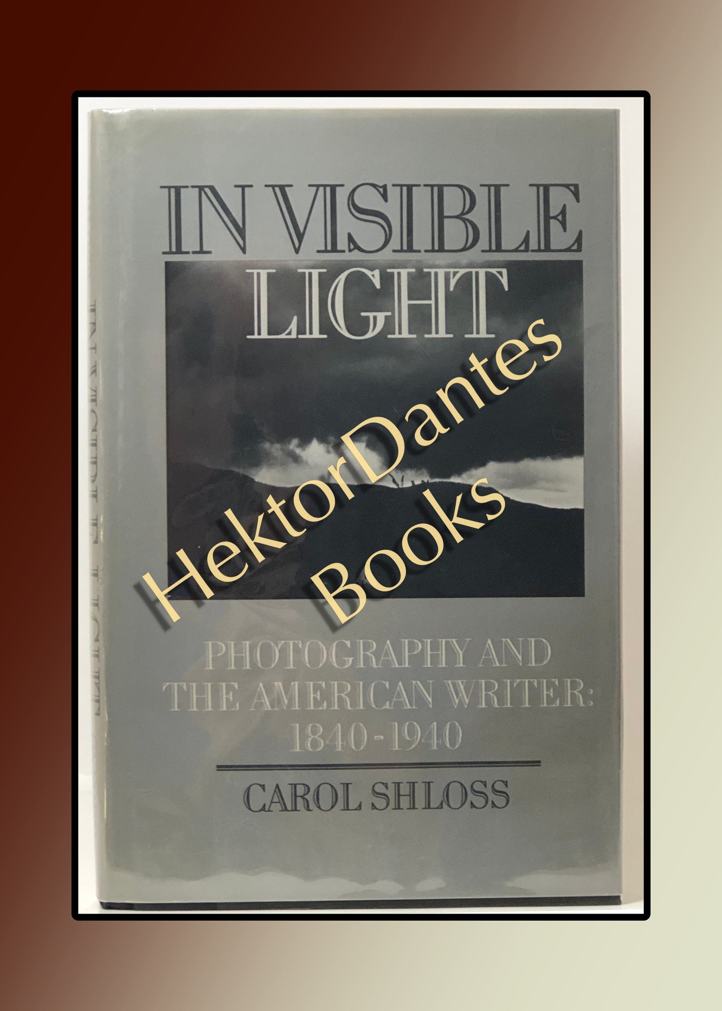 In Visible Light: Photography and the American Writer 1840-1940 (1987)