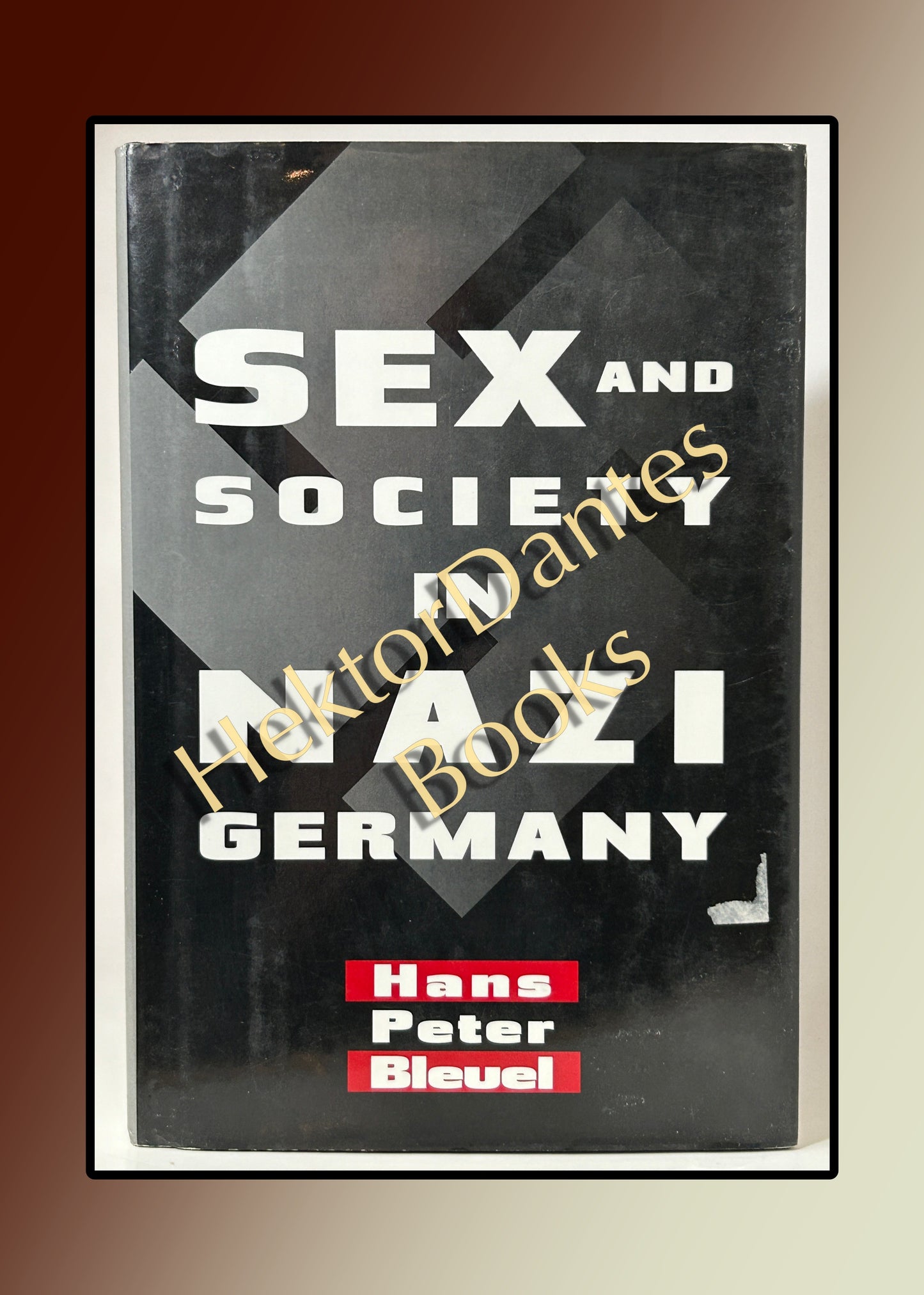 Sex and Society in Nazi Germany (1996)