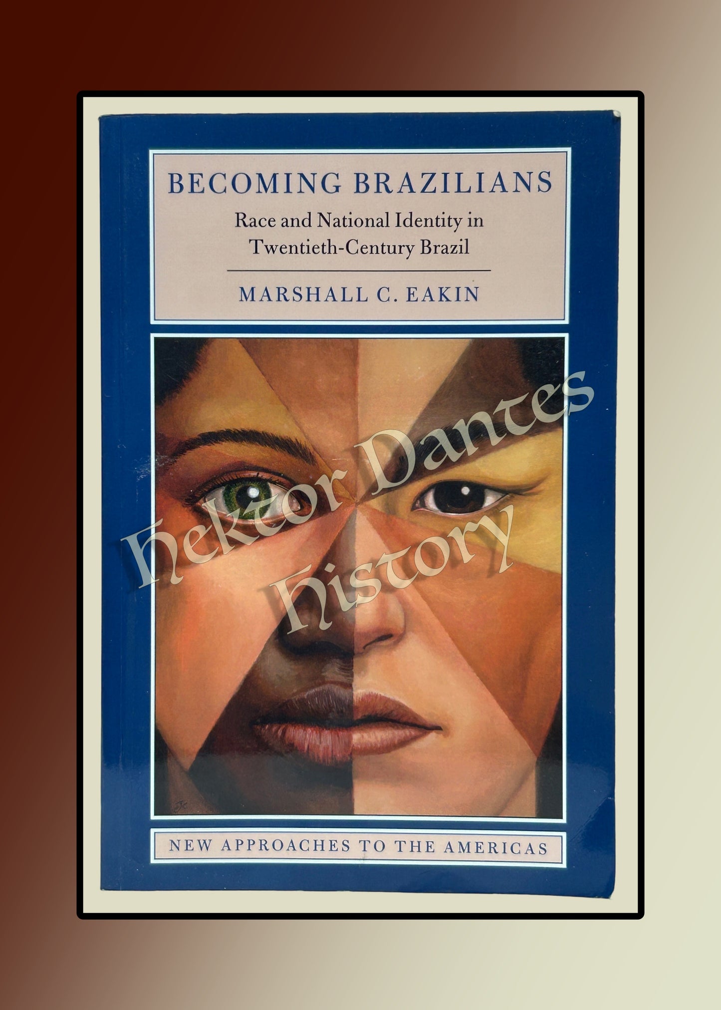 Becoming Brazilians: Race and National Identity in Twentieth-Century Brazil (2017)