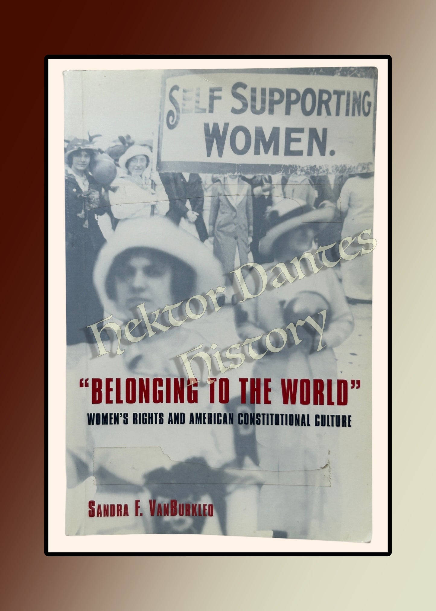 "Belonging to the World" Women's Rights and American Constitutional Culture (2001)