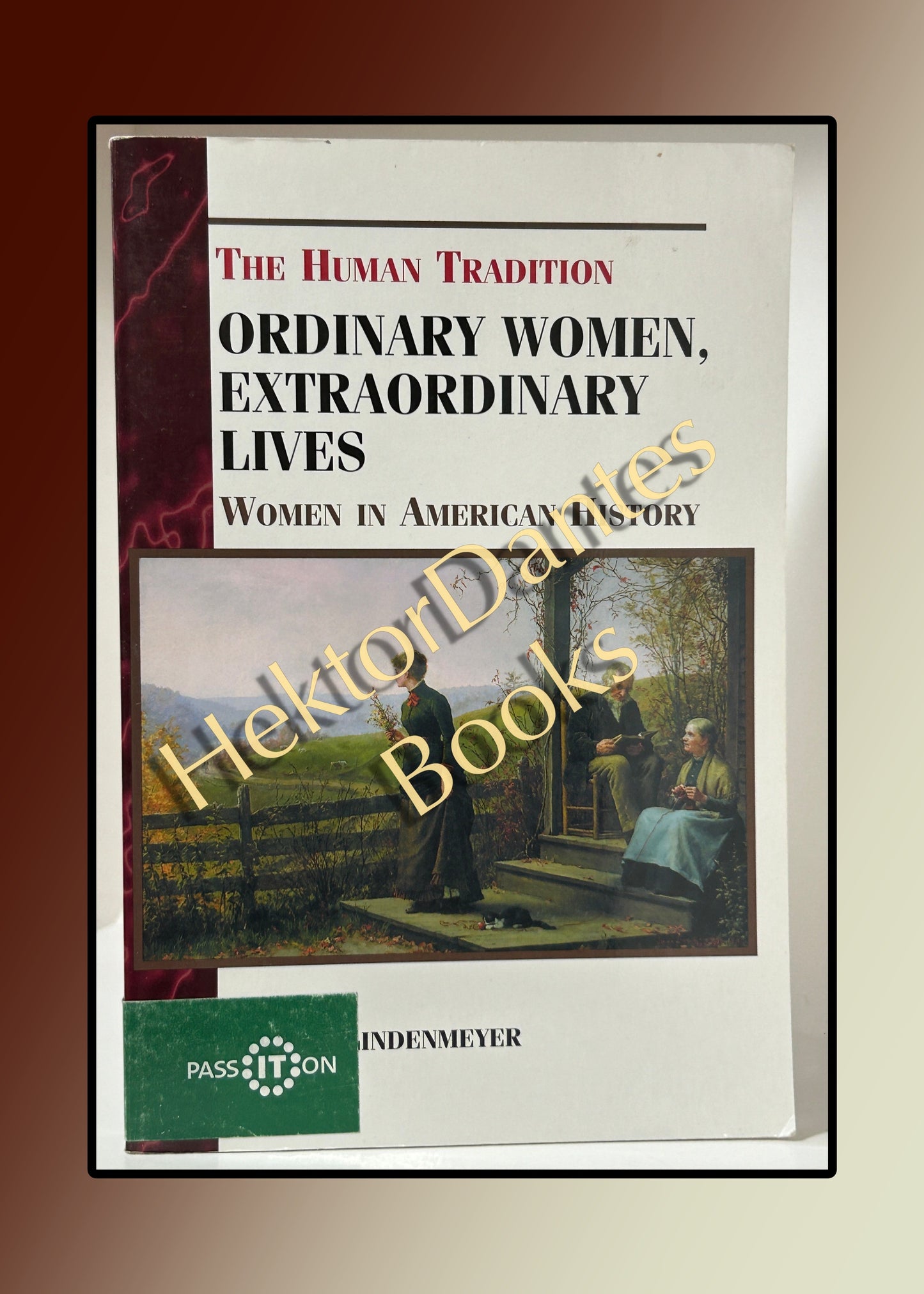 Ordinary Women, Extraordinary Lives: Women in American History (2000)