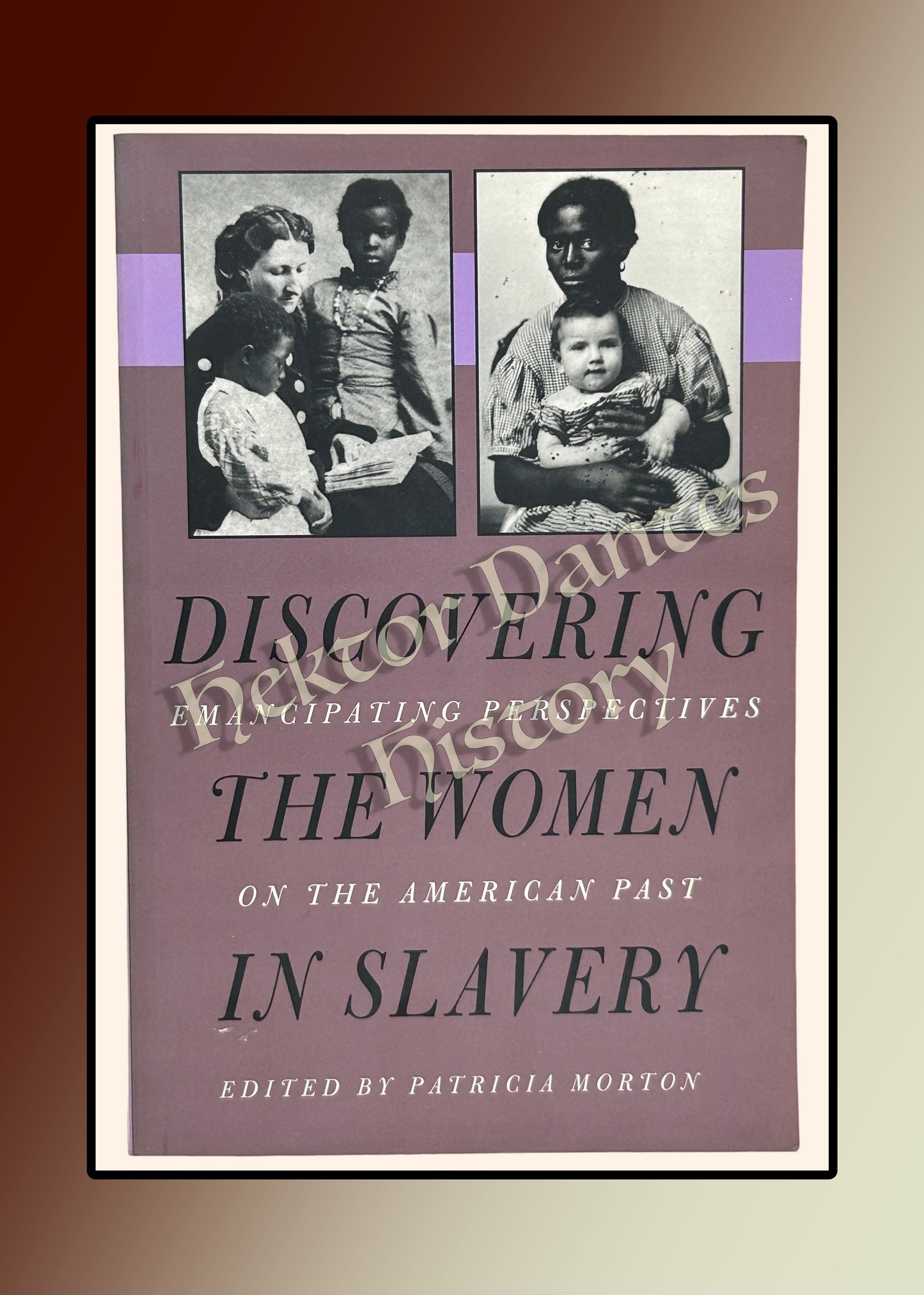 Discovering the Women of Slavery: Emancipating Perspectives on the American Past (1996)