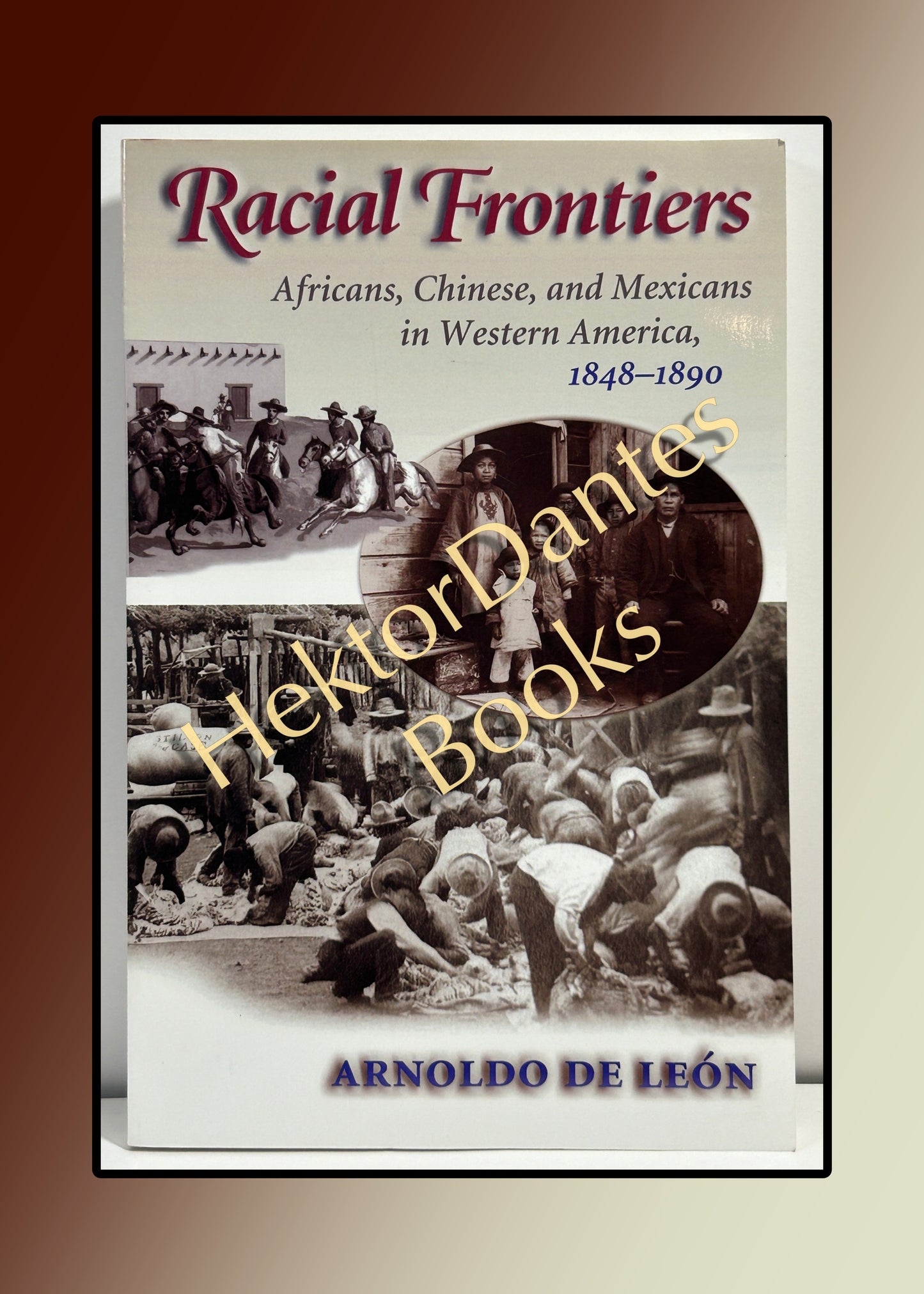 Racial Frontiers: Africans, Chinese, and Mexicans in Western America, 1848-1890 (2002)