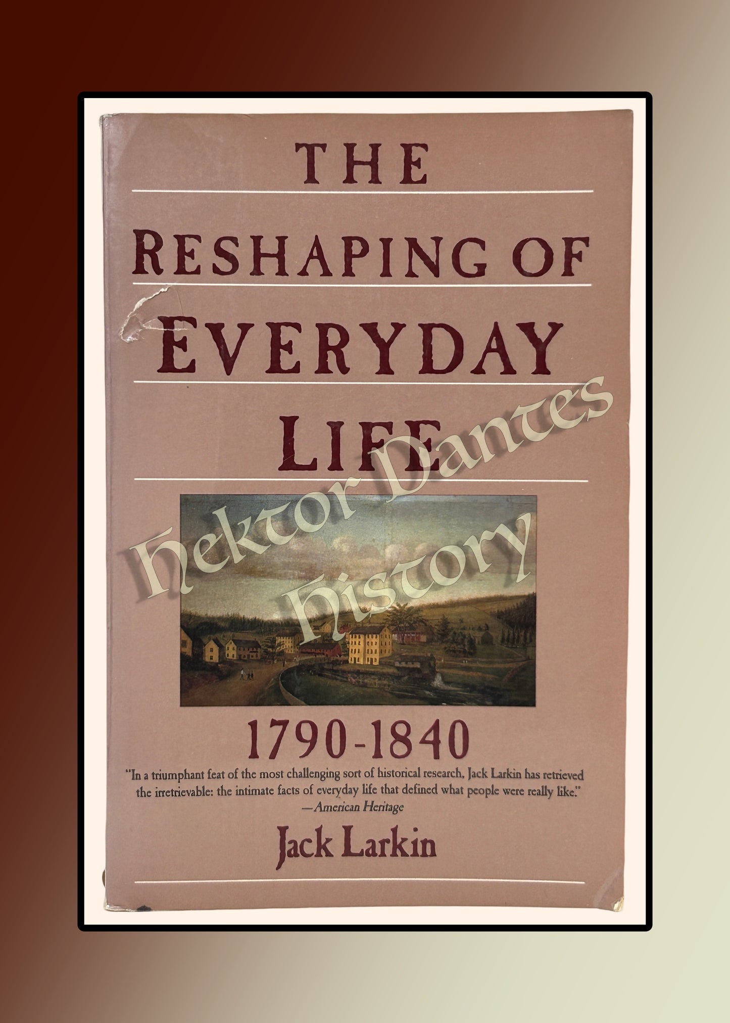 The Reshaping of Everyday Life 1790-1840 (1989)