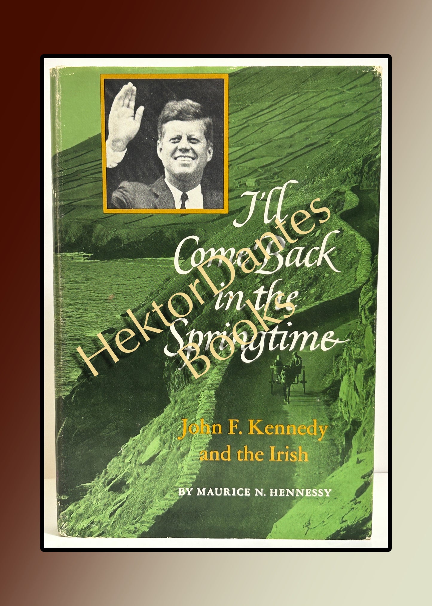 I'll Come Back in the Springtime: John F. Kennedy and the Irish (1967)