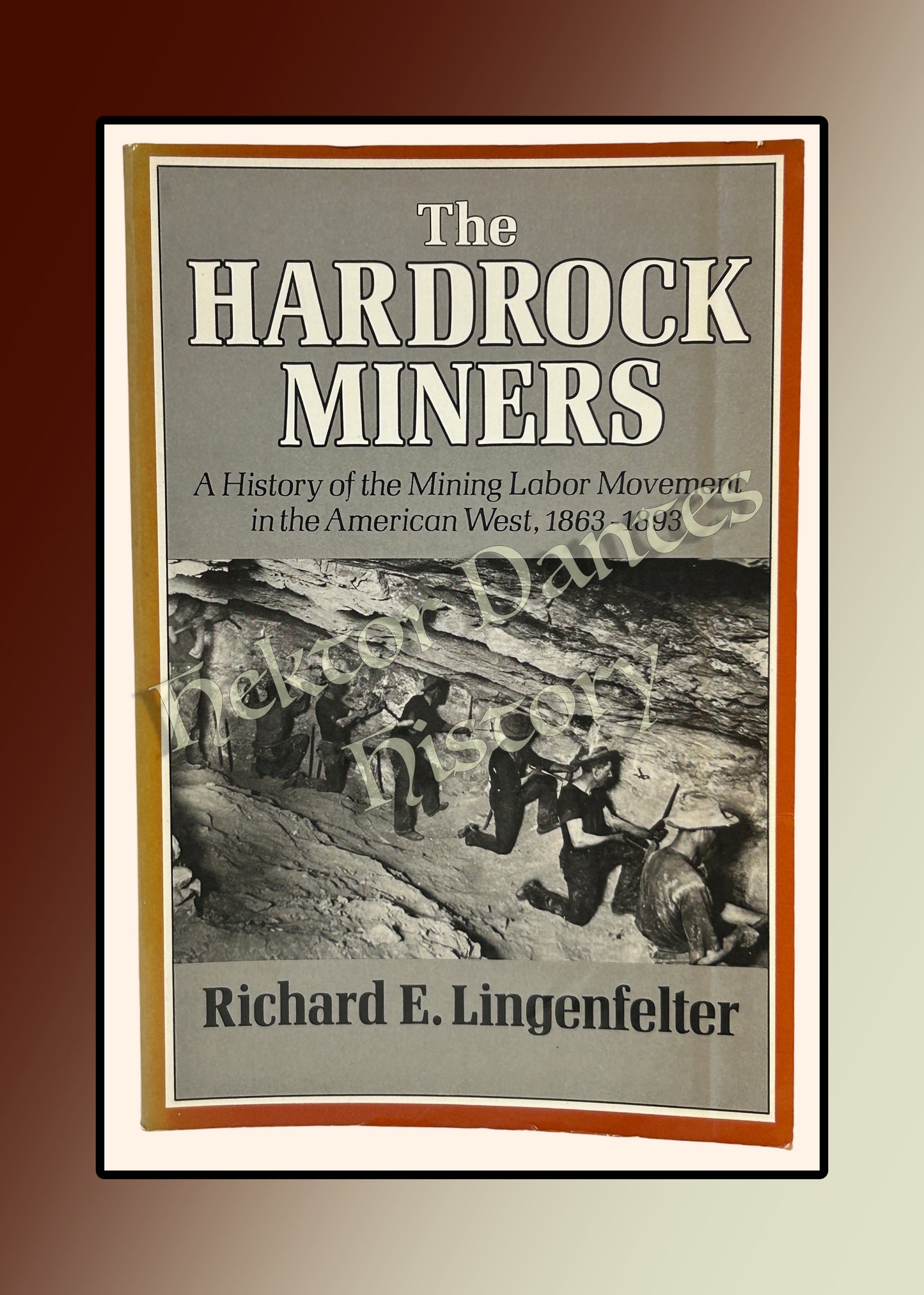 The Hardrock Miners: A History of the Mining Labor Movement in the American West, 1863-1893 (1974)